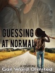 Gail's book cover shows a man walking away from us down a long country road with a guitar resting on his right shoulder.