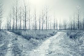 LongRoadBleakLandscape