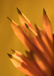 A cluster of finely pointed yellow pencils