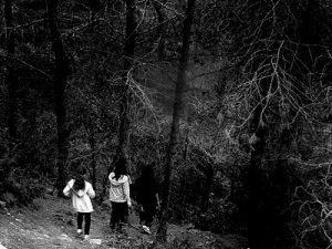 Three youngsters on a hillside appear ready to enter a gray forest.